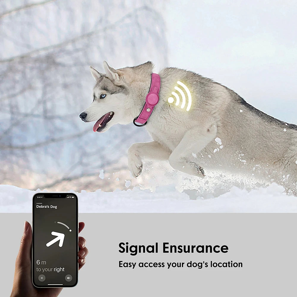 High Quality Collar with holder for GPS Tracker