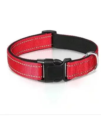 Reflective Padded Nylon Dog Collar