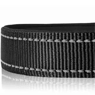 Reflective Padded Nylon Dog Collar