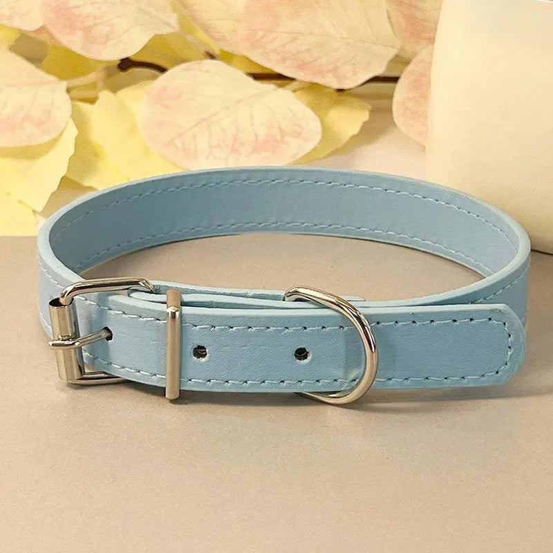 Colourful Collar for Small Dogs