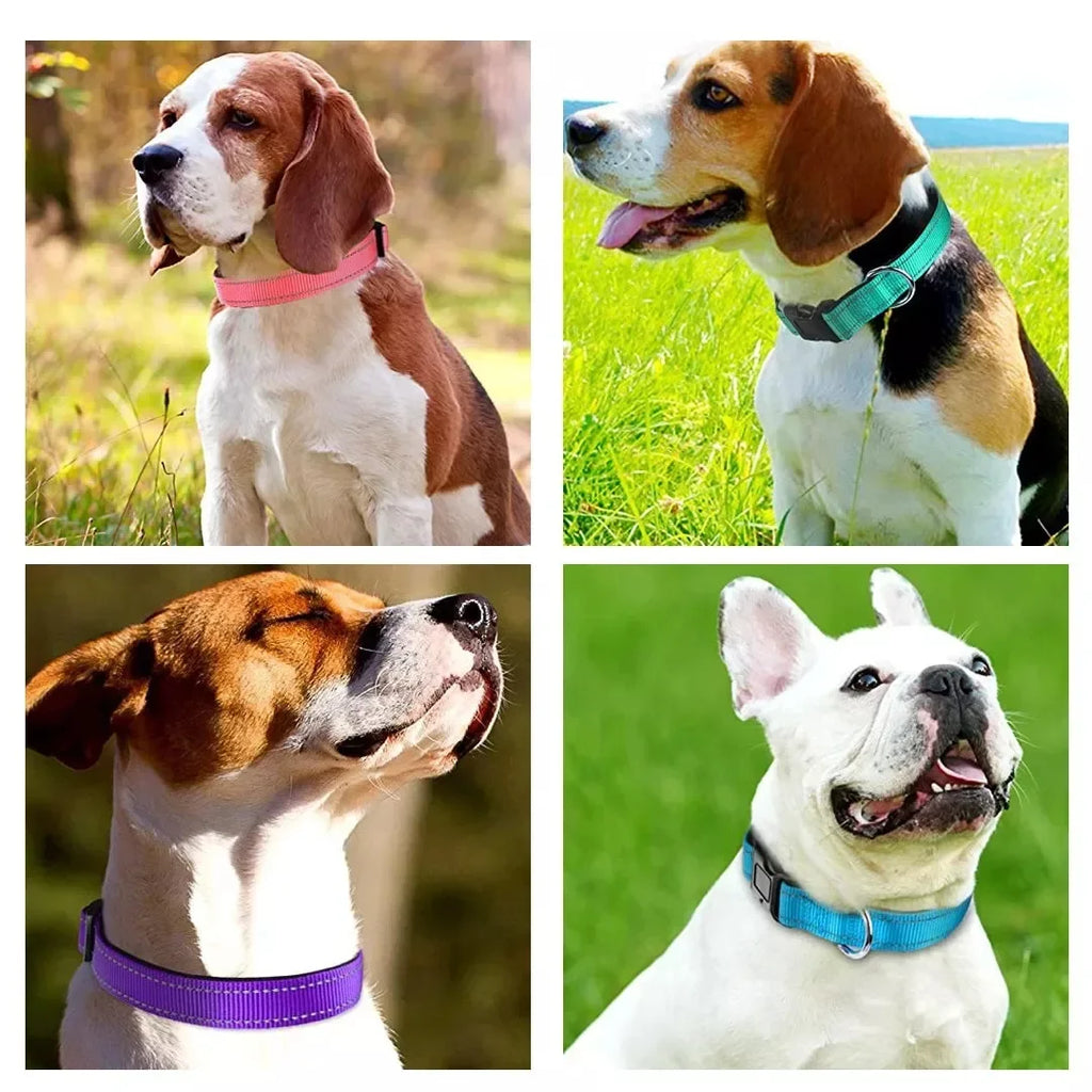 Reflective Padded Nylon Dog Collar