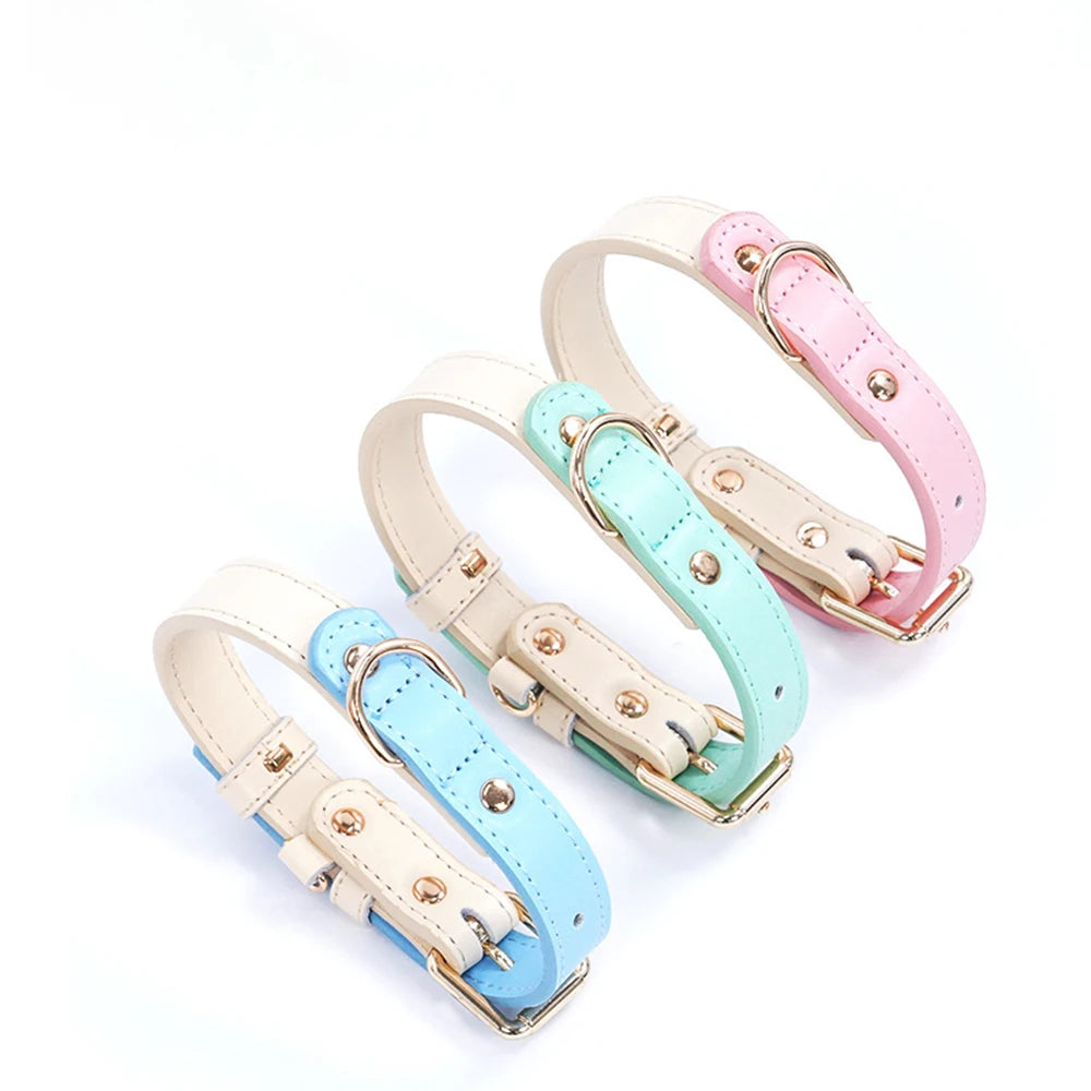 Premium Leather Small Dog Collar