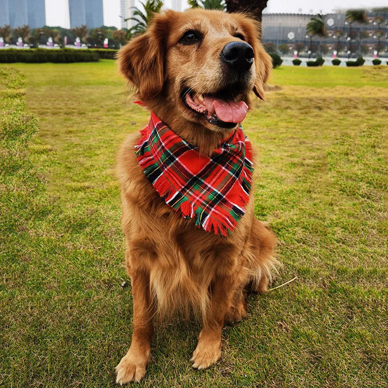 Classic Chequered and Tartan Tasselled Bandanas