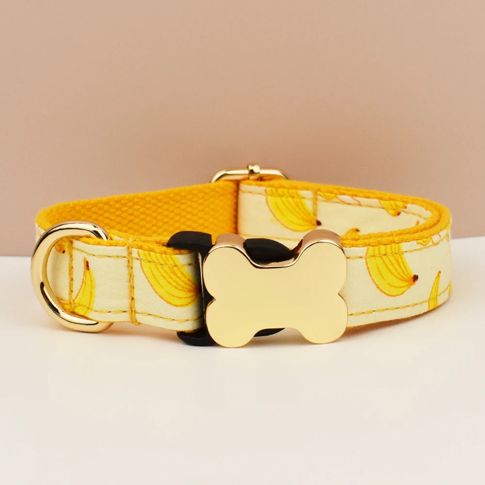 Dog Collar with Engraved Nameplate