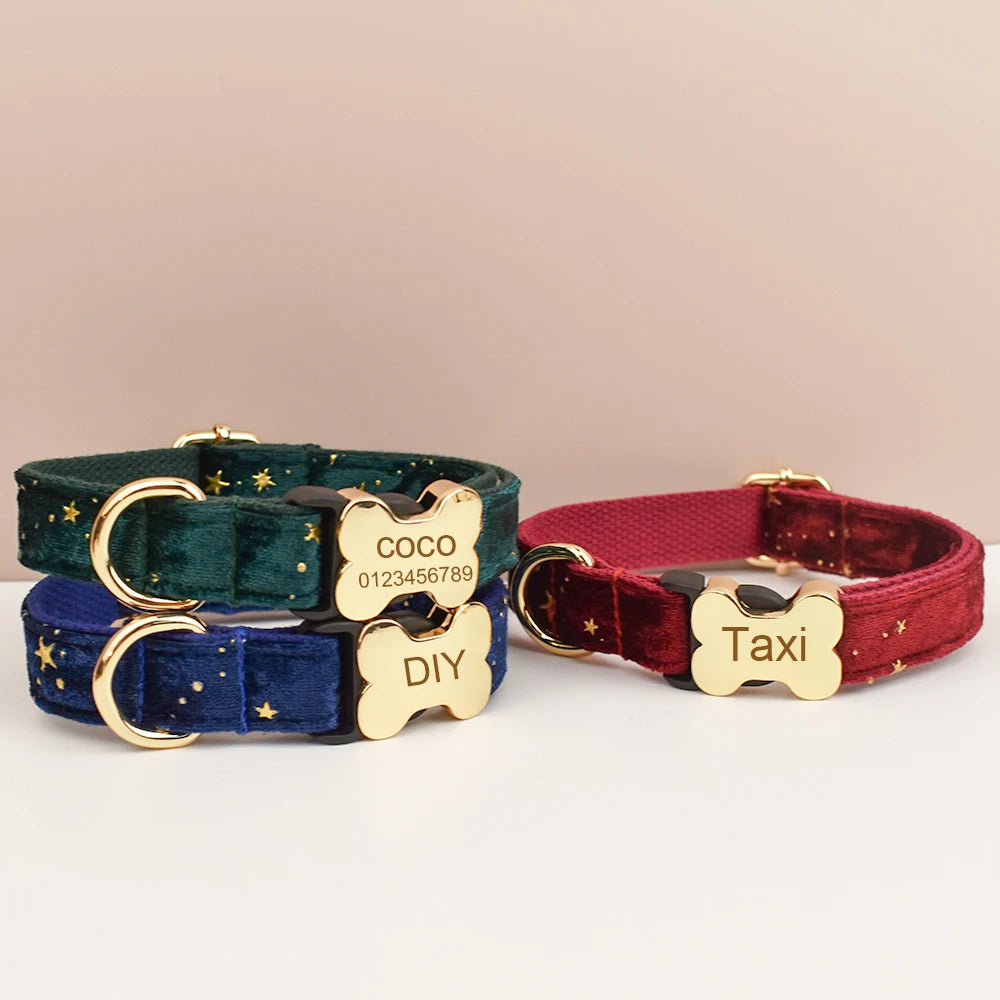 Dog Collar with Engraved Nameplate