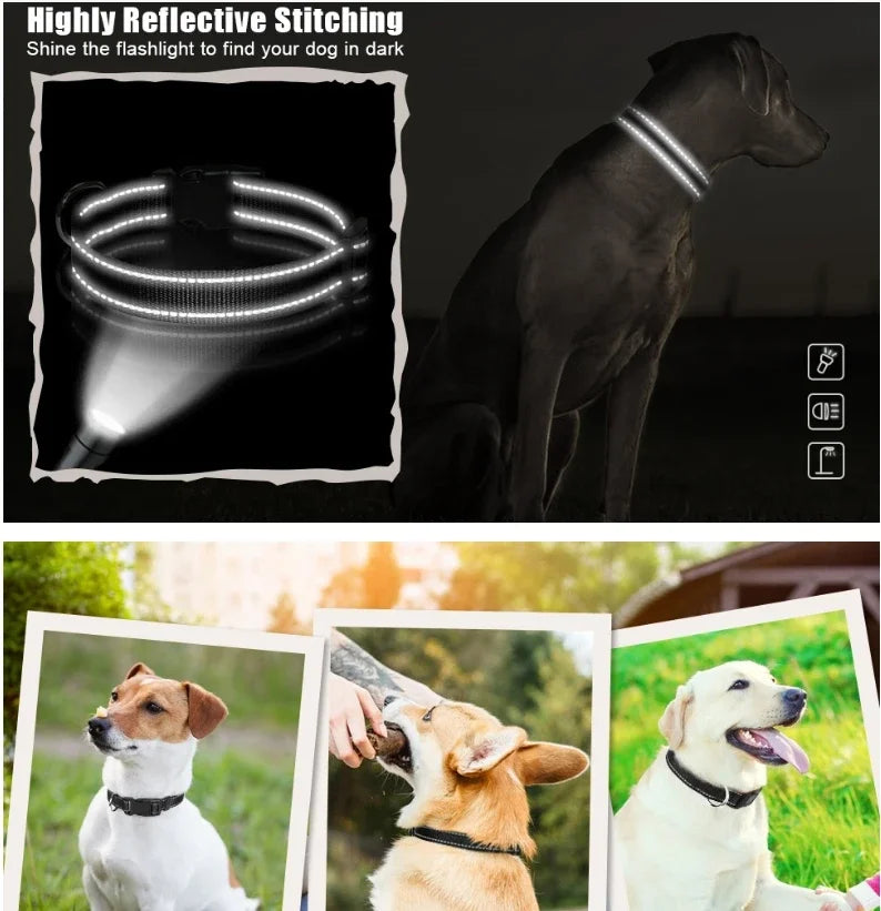 Reflective Padded Nylon Dog Collar