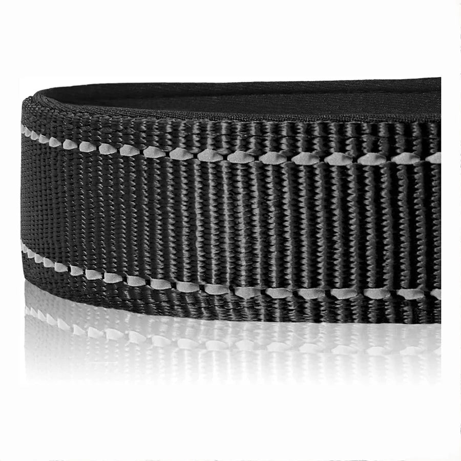 Reflective Padded Nylon Dog Collar