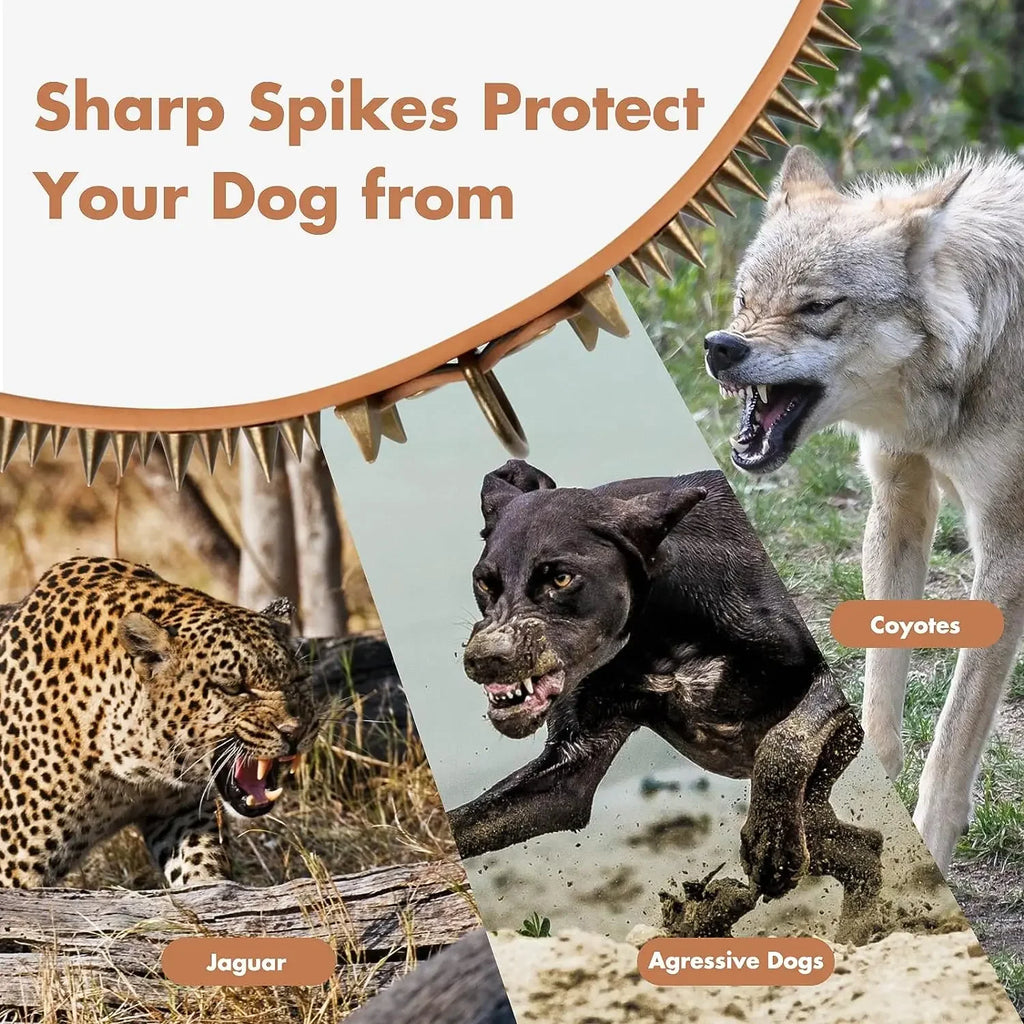 Skull and Crossbones Studded Collar