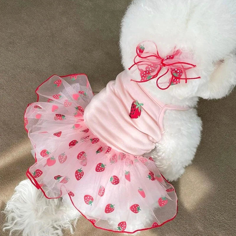 Cute Dress for Small Dogs