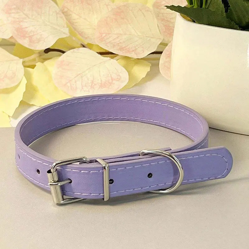 Colourful Collar for Small Dogs