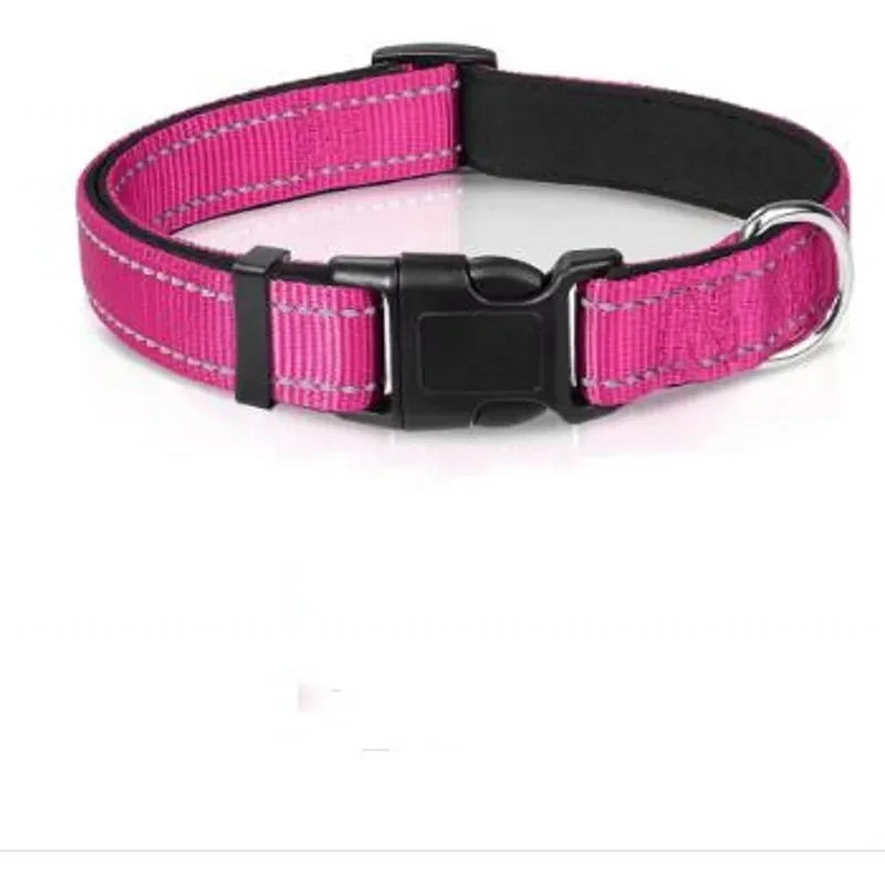 Reflective Padded Nylon Dog Collar