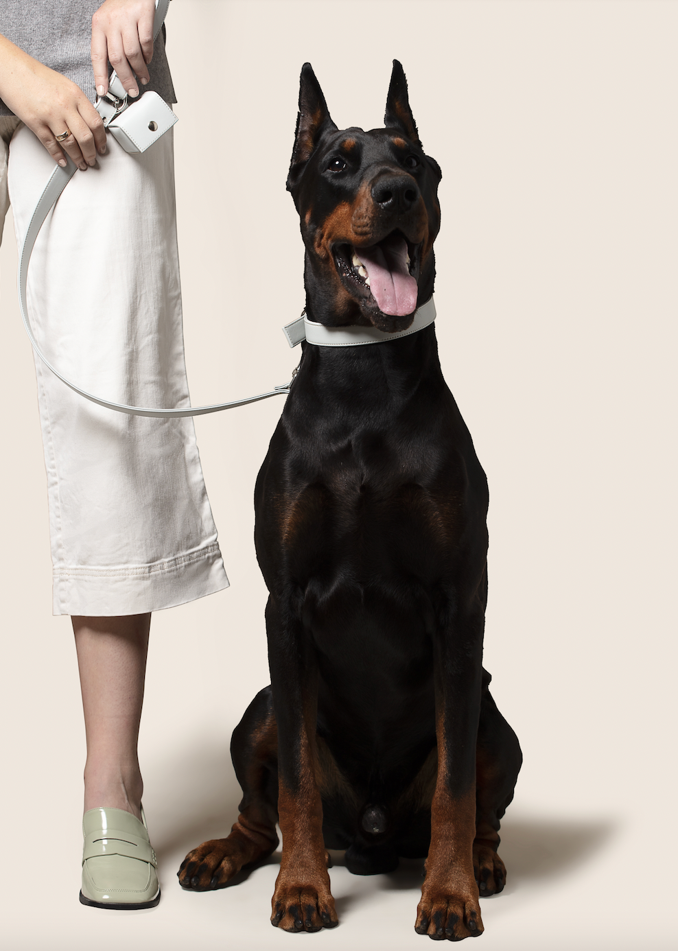 Ice blue vegan apple leather dog collar