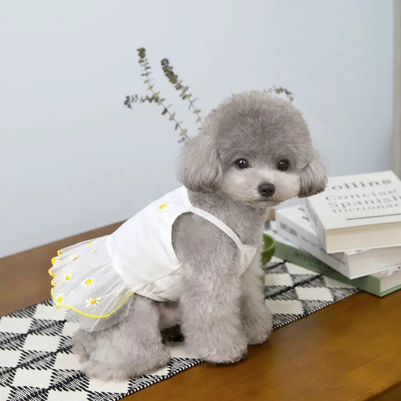 Cute Dress for Small Dogs