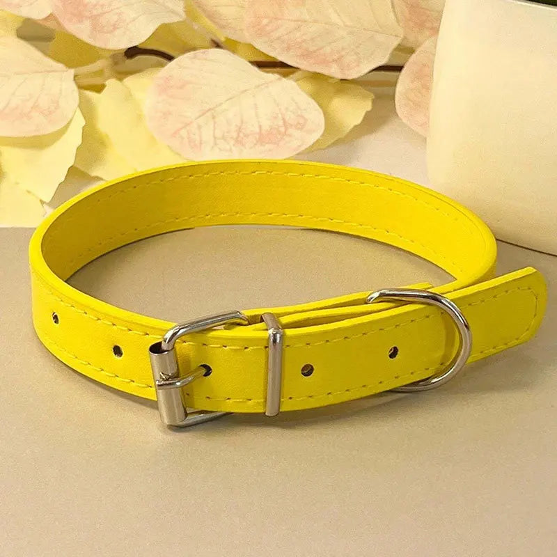 Colourful Collar for Small Dogs