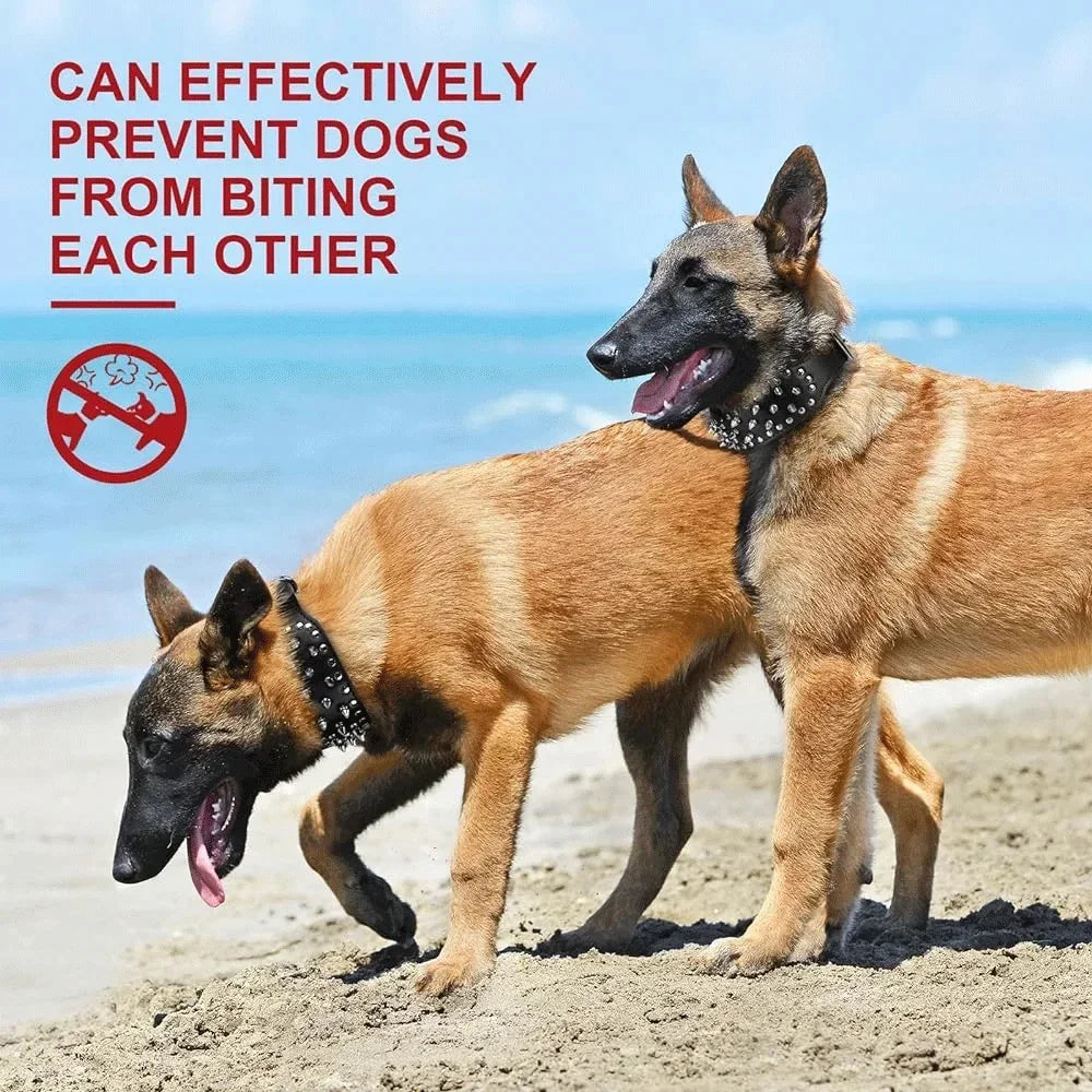 PU Leather Spiked Collar