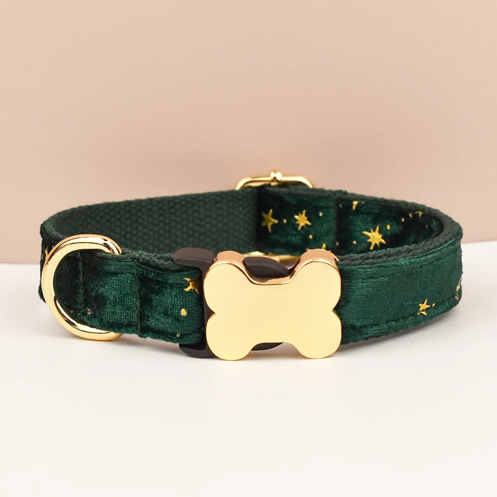 Dog Collar with Engraved Nameplate