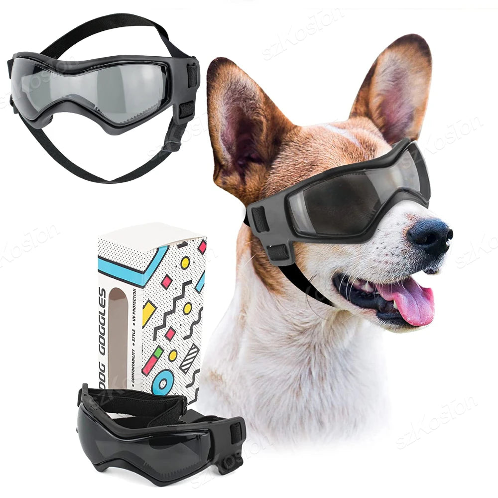 Protective Goggles