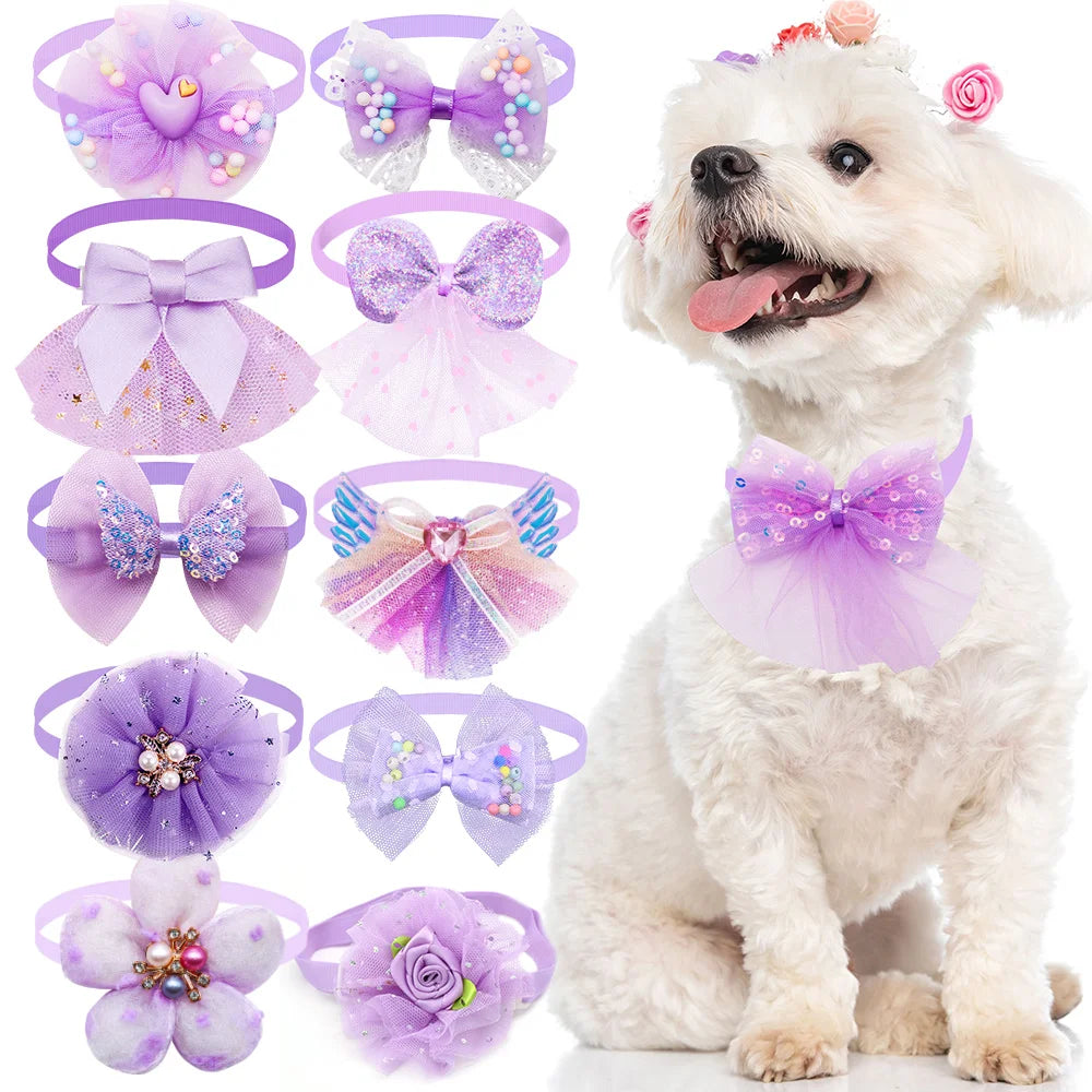 Bow Collar Selection