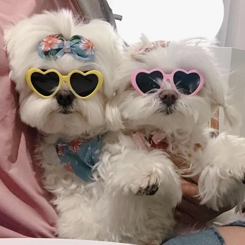 Heart Shaped Dog Sunglasses