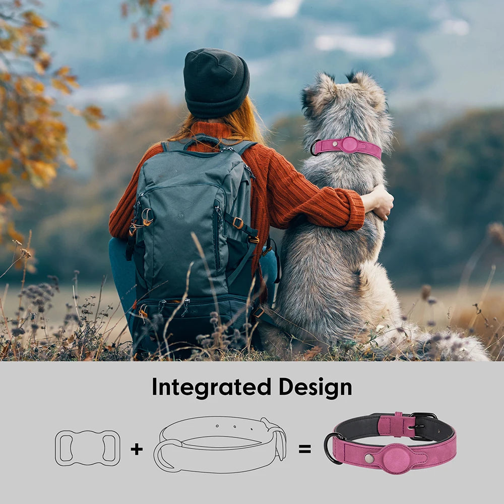 High Quality Collar with holder for GPS Tracker