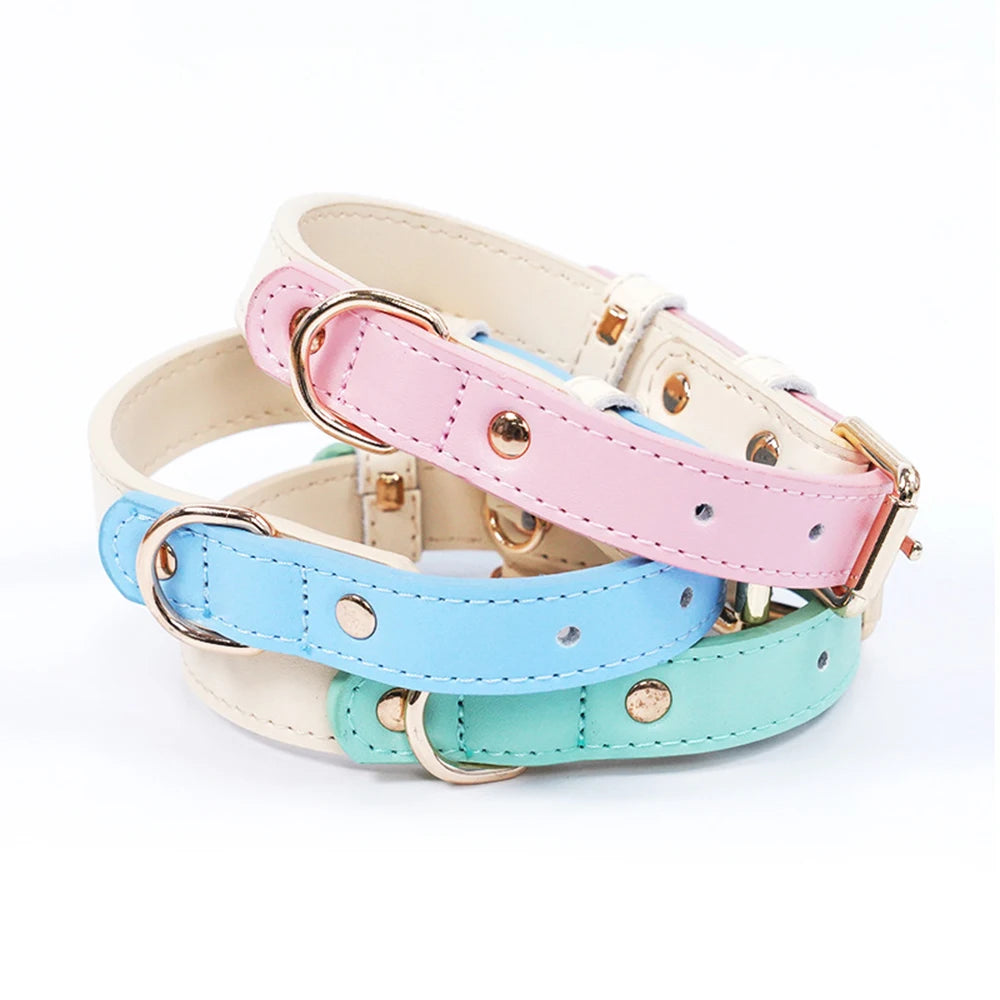 Premium Leather Small Dog Collar