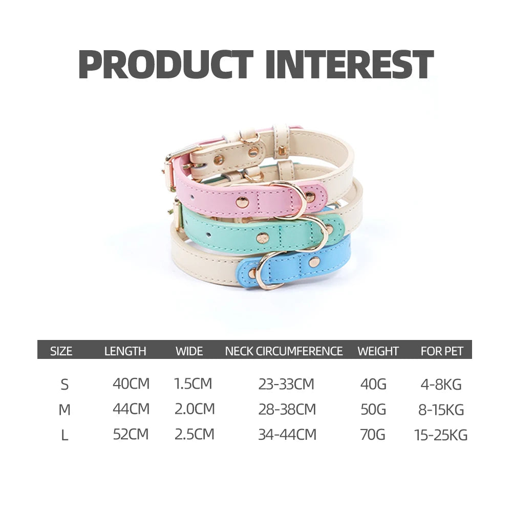 Premium Leather Small Dog Collar