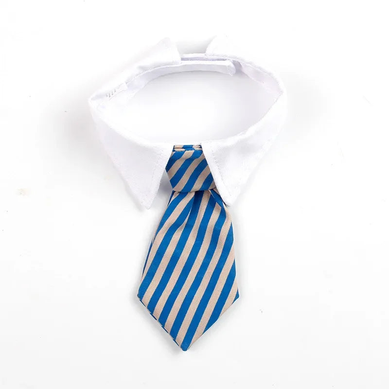 Formal Necktie