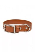 Sierra Sunrise Vegan Leather Dog Collar-0