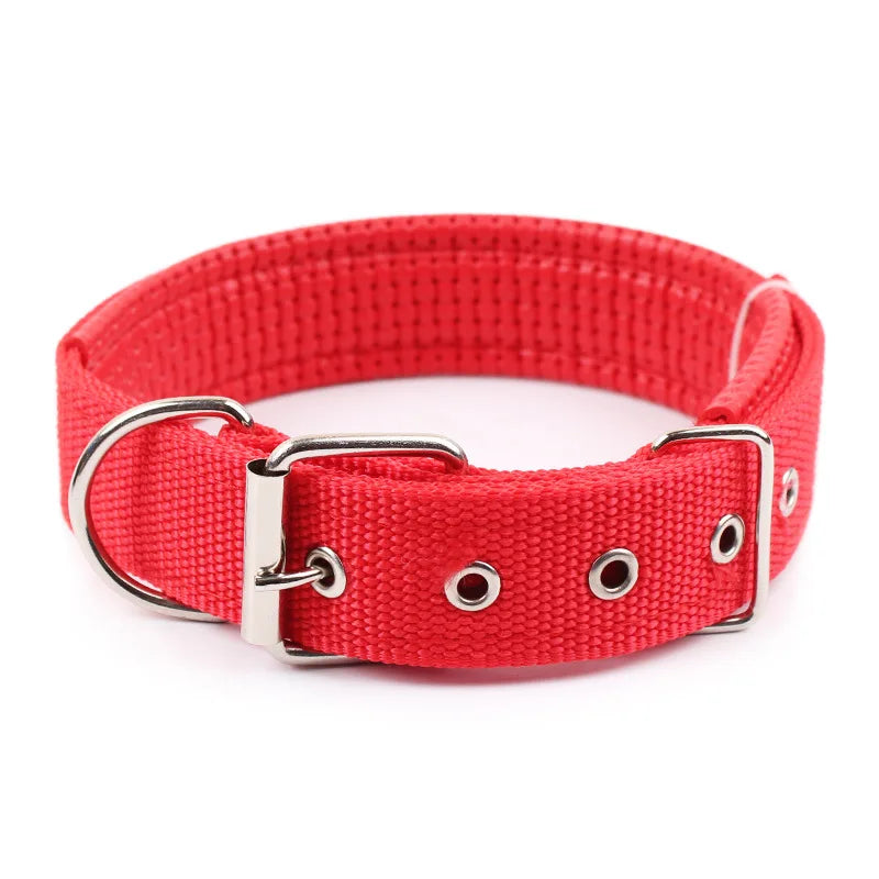 Solid Nylon Dog Collars for All Breeds-7
