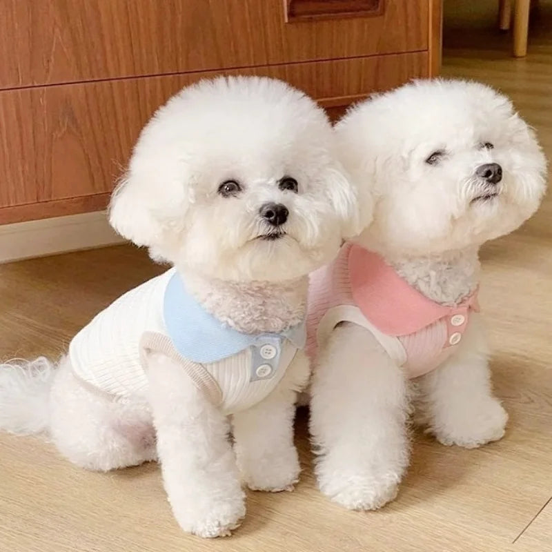 Summer Dog Polo Shirt for Small Dogs