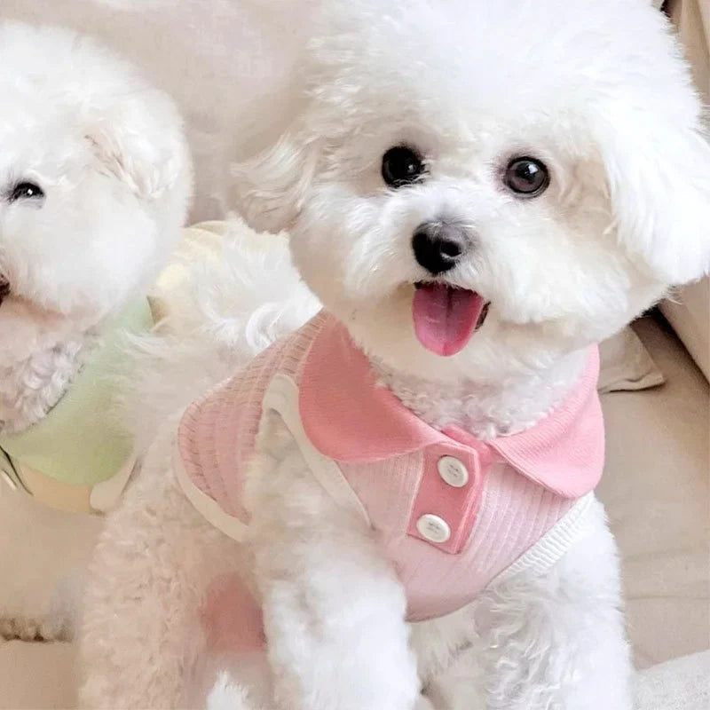 Summer Dog Polo Shirt for Small Dogs