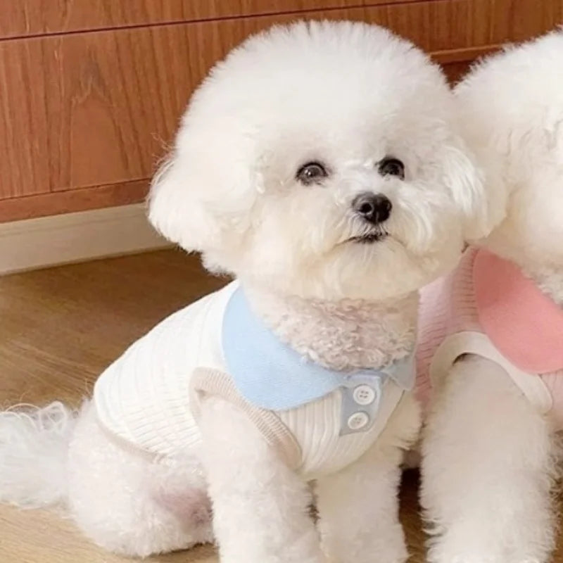 Summer Dog Polo Shirt for Small Dogs