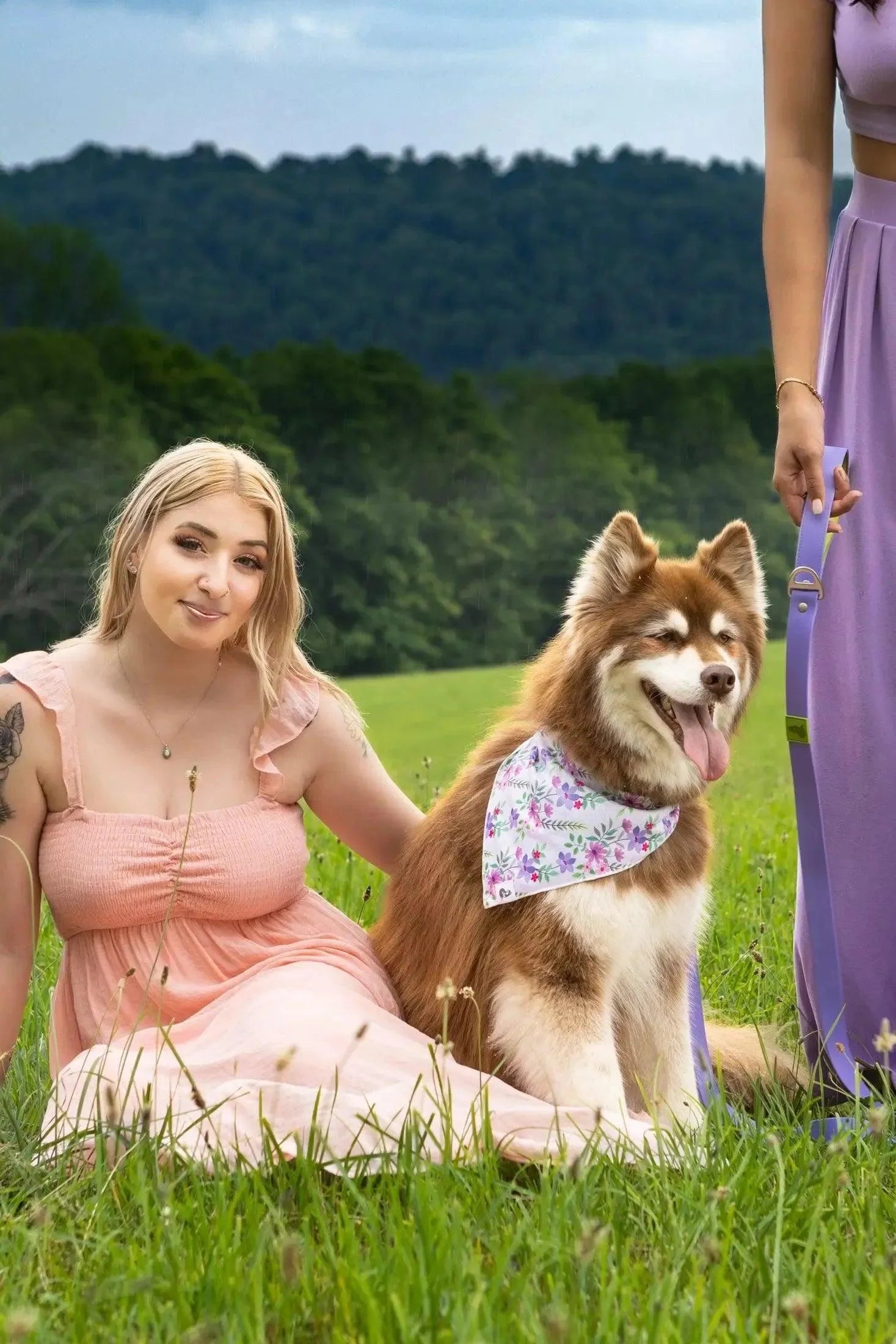 Wildflower Meadow Dog Bandana-2