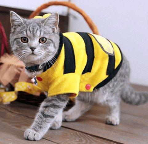 Buzzing Bee Pet Apparel: Soft Fleece Clothes For Dogs And Cats-2