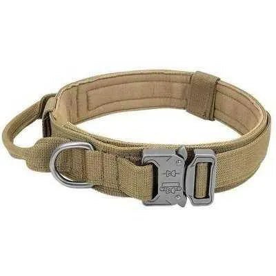 Elite Guardian Military Dog Collar & Bungee Leash Set-7