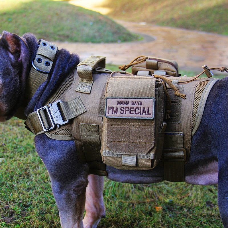 Tactical Dog Vest-0