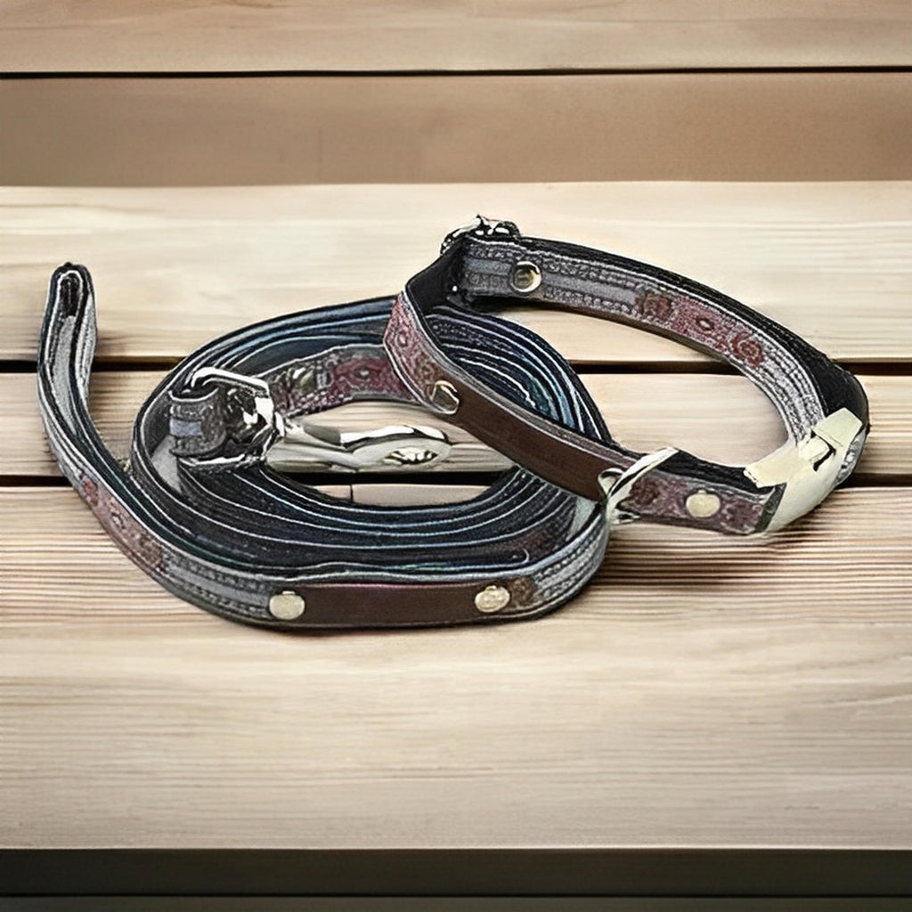 Finnigan's Designer Delight Dog Collar Set-0