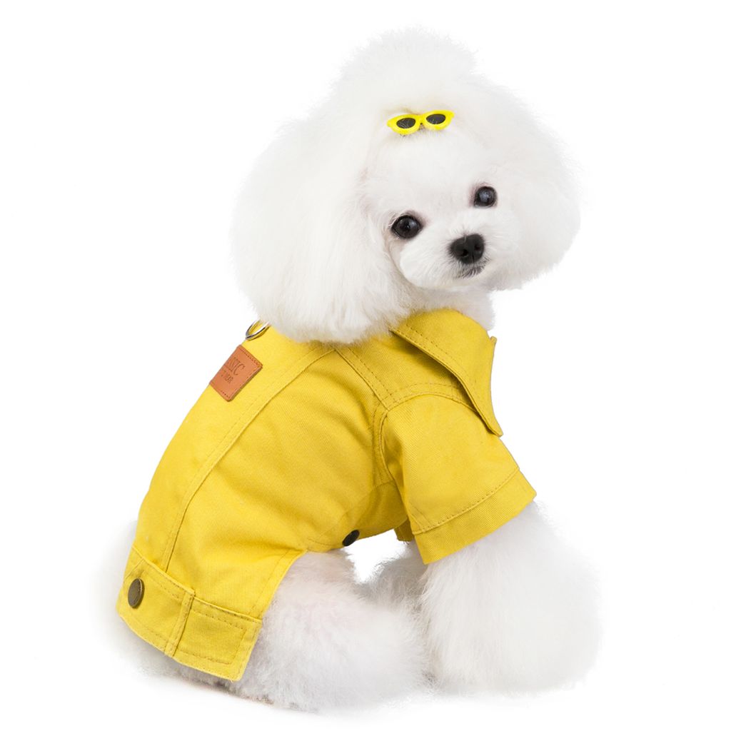 Yellow Seasons Dog Jacket by Doggy Doo Little-2