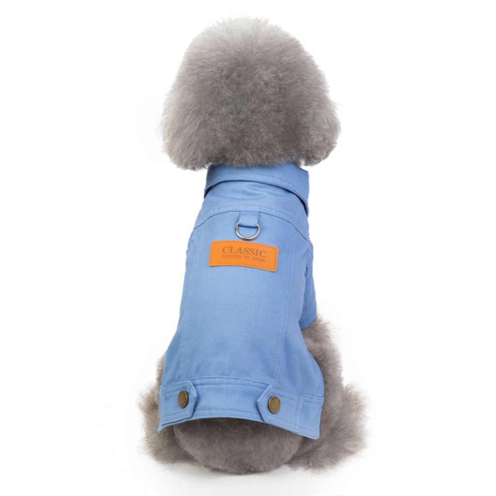 Blue Seasons Dog Jacket by Doggy Doo Little-1