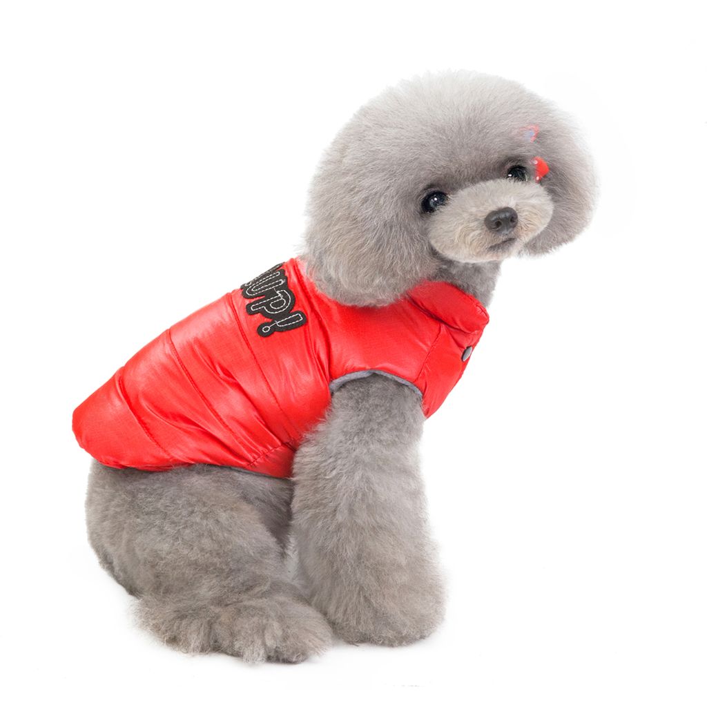 Fillup Gillet Dog Jacket by Doggy Doo Little-2