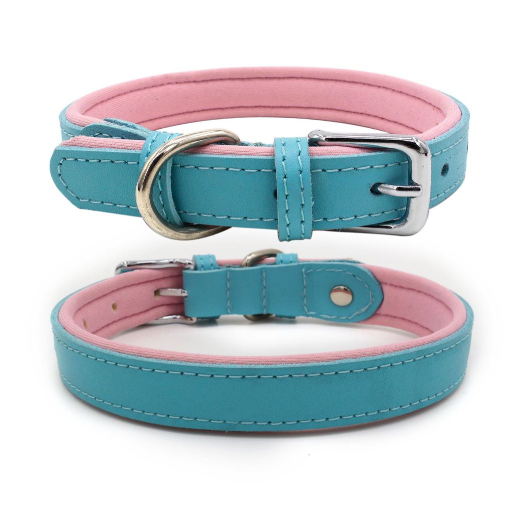 Aqua Dog Collar - by Doggy Doo Little-0