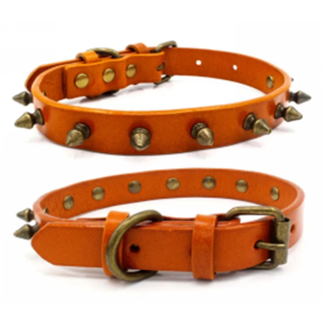 Orange Spike Dog Collar - by Doggy Doo Little-0