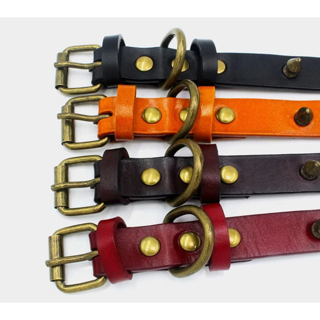Orange Spike Dog Collar - by Doggy Doo Little-2