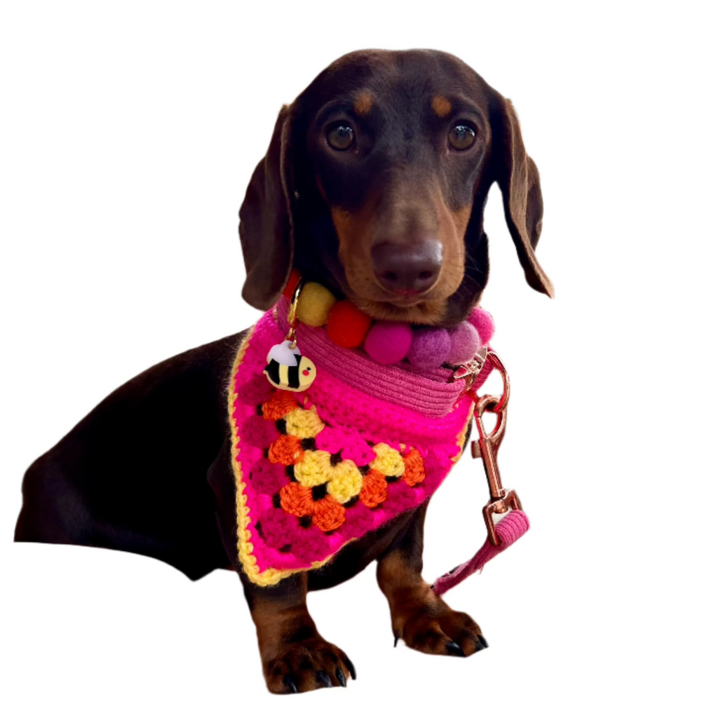 Crochet Dog Bandana - Hot Pink-0