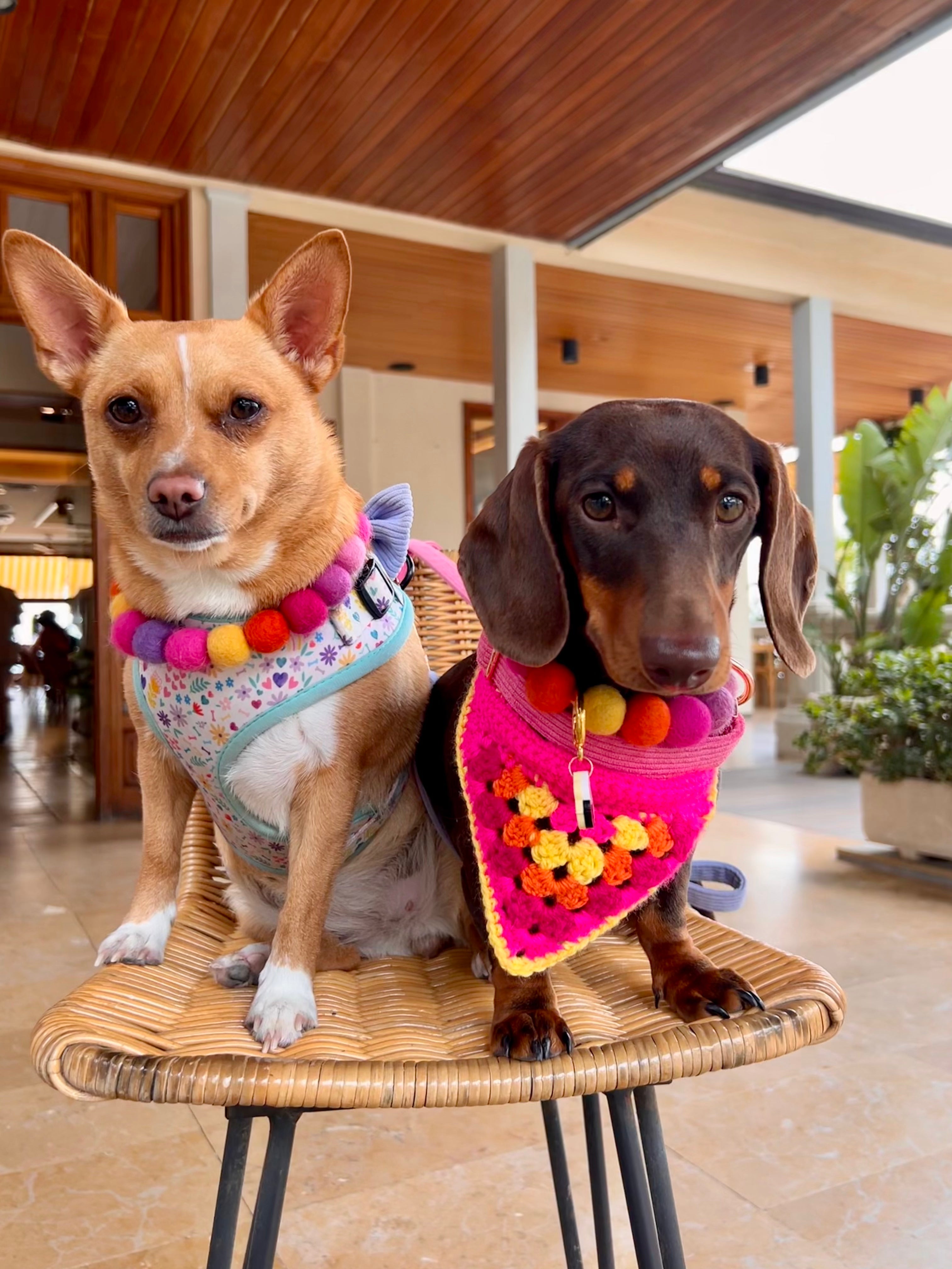 Crochet Dog Bandana - Hot Pink-2