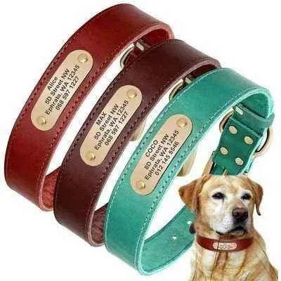 Luxury Leather Dog Collar with Personalised Engraving-0