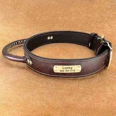 Personalised Leather Dog Collar Set with ID Tag-2