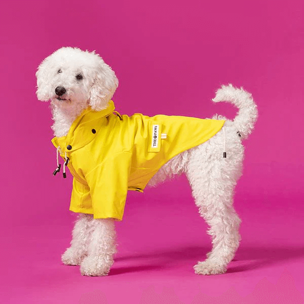 Sloane Waterproof Dog Rain Jacket (Lemon) – by The Paw Co.-6