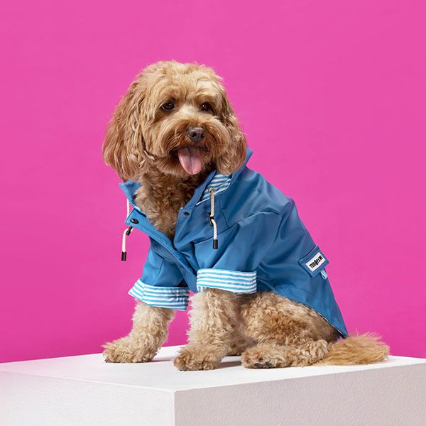Sloane Waterproof Dog Rain Jacket (Navy) – by The Paw Co.-0